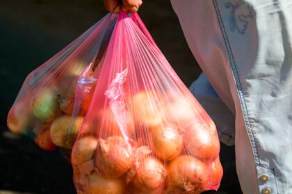 bolsas