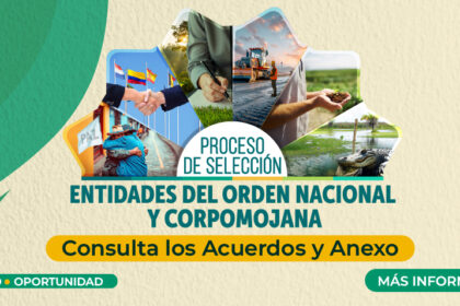 entidades de orden territorial