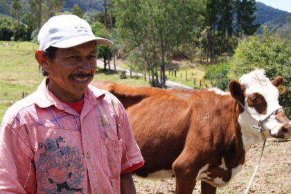 Vaca
